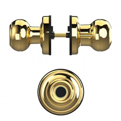 Khoá cửa vân tay dành cho cửa phòng SL106YL