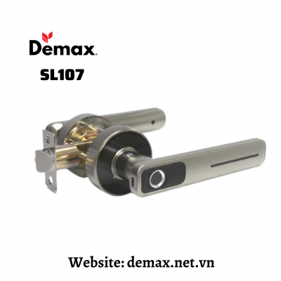 Khoá vân tay SL107