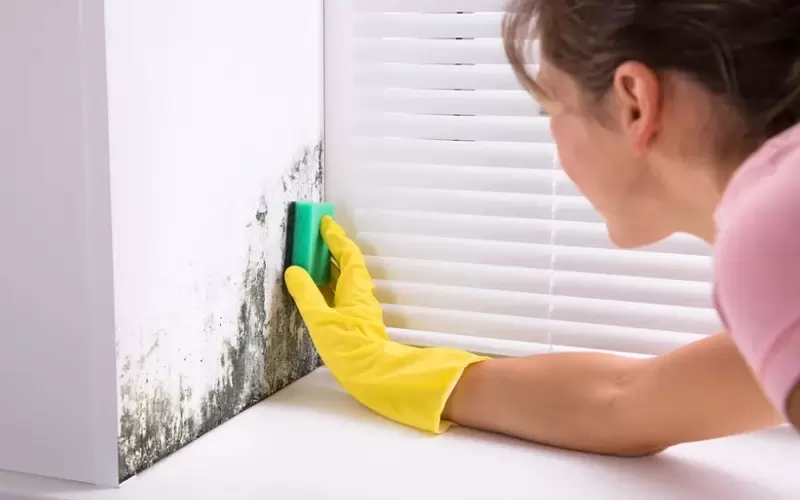 Vệ sinh tường mốc