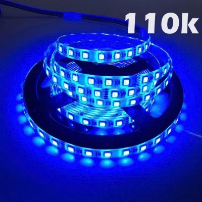 dây led xanh dương chống nước